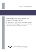 Prozessentwicklung mittels mobiler und modularer Miniplant-Technik. am Beispiel der Entwicklung eines alternativen Waschmittels zur Rückgewinnung aromatischer Kohlenwasserstoffe aus Kokereigasen