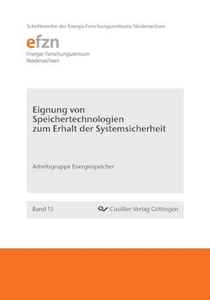 Eignung von Speichertechnologien zum Erhalt der Systemsicherheit (Band 13)