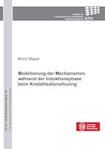 Modellierung der Mechanismen während der Induktionsphase beim Kristallisationsfouling (Band 18)