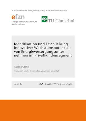 Identifikation und Erschließung innovativer Wachstumspotenziale von Energieversorgungsunternehmen im Privatkundensegment (Band 17)