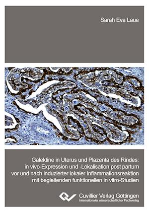 Galektine in Uterus und Plazenta des Rindes. in vivo-Expression und -Lokalisation post partum vor und nach induzierter lokaler Inflammationsreaktion mit begleitenden funktionellen in vitro-Studien