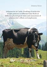 Adiponectin in Cattle: Profiling of molecular weight patterns in different body fluids at different physiological states and assessment of adiponectin's effects on lymphocytes