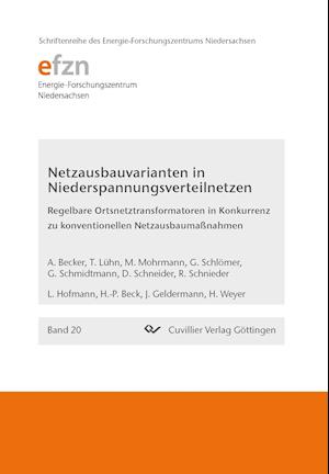 Netzausbauvarianten in Niederspannungsverteilnetzen