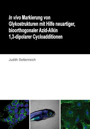 In vivo Markierung von Glykostrukturen mit Hilfe neuartiger, bioorthogonaler Azid-Alkin 1,3-dipolarer Cycloadditionen