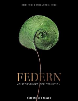 Federn