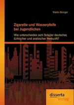 Zigarette und Wasserpfeife bei Jugendlichen: Wie unterscheiden sich Schuler deutscher, turkischer und arabischer Herkunft?