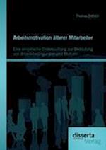 Arbeitsmotivation älterer Mitarbeiter: Eine empirische Untersuchung zur Bedeutung von Arbeitsbedingungen und Motiven