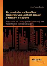 Der schulische und berufliche Werdegang von psychisch kranken Straftätern in Sachsen: Eine Studie zur pädagogischen Betreuung von Patienten des Maßregelvollzugs