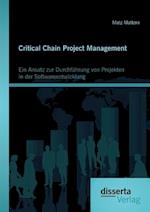 Critical Chain Project Management: Ein Ansatz zur Durchführung von Projekten in der Softwareentwicklung