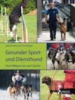 Gesunder Sport- und Diensthund