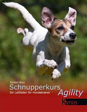 Schnupperkurs Agility