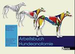 Arbeitsbuch Hundeanatomie