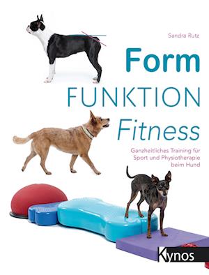 tang Skriv email bølge Få Form Funktion Fitness af Sandra Rutz som Paperback bog på tysk