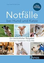 Notfälle bei Hund und Katze