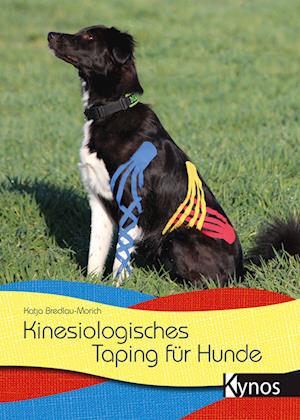 Kinesiologisches Taping für Hunde