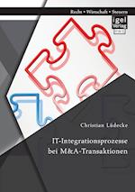 IT-Integrationsprozesse bei M&A-Transaktionen