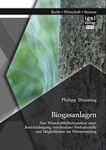 Biogasanlagen: Eine Wirtschaftlichkeitsanalyse unter Berucksichtigung verschiedener Fordermodelle und Moglichkeiten zur Warmenutzung