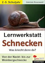 Lernwerkstatt Schnecken