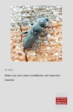 Bilder aus dem Leben schädlicher und nützlicher Insekten