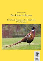 Der Fasan in Bayern