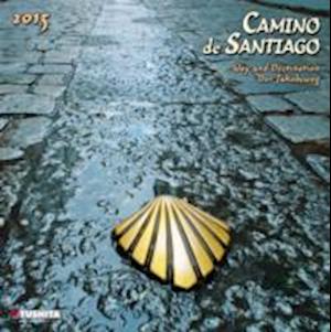 Camino De Santiago 2015