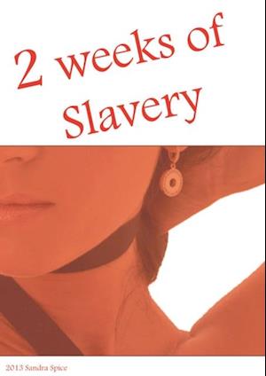 2 weeks of slavery