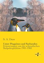 Unter Pinguinen und Seehunden