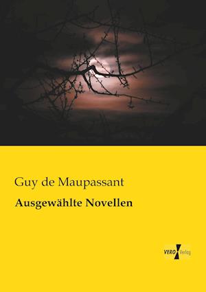 Ausgewahlte Novellen