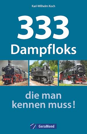 333 Dampfloks, die man kennen muss!