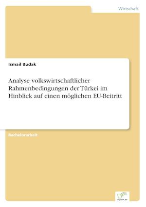 Analyse volkswirtschaftlicher Rahmenbedingungen der Türkei im Hinblick auf einen möglichen EU-Beitritt