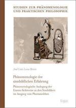 Phanomenologie Der Sinnbildlichen Erfahrung