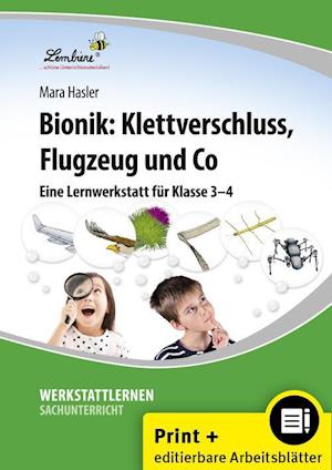 Bionik: Klettverschluss, Flugzeug und Co