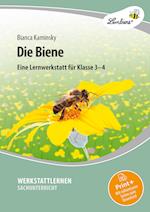 Die Biene. Grundschule, Sachunterricht, Klasse 3-4