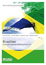 Brasilien. Eine aufstrebende Wirtschaftsmacht