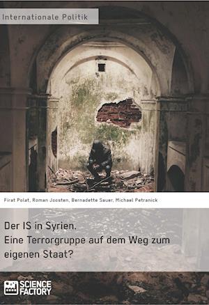 Der IS in Syrien. Eine Terrorgruppe auf dem Weg zum eigenen Staat?