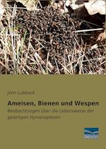 Ameisen, Bienen und Wespen