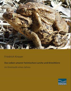 Das Leben unserer heimischen Lurche und Kriechtiere im Kreislaufe eines Jahres