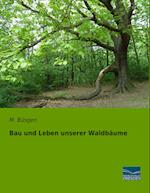 Bau und Leben unserer Waldbäume