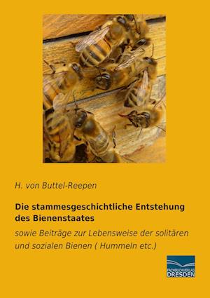 Die stammesgeschichtliche Entstehung des Bienenstaates