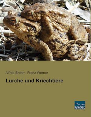 Lurche und Kriechtiere