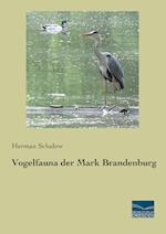 Vogelfauna der Mark Brandenburg