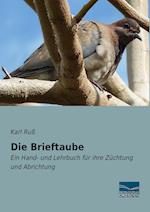 Die Brieftaube