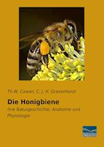 Die Honigbiene