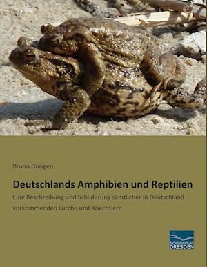 Deutschlands Amphibien und Reptilien