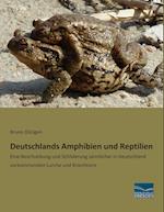 Deutschlands Amphibien und Reptilien