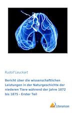 Bericht über die wissenschaftlichen Leistungen in der Naturgeschichte der niederen Tiere während der Jahre 1872 bis 1875