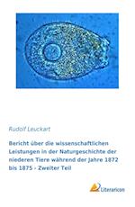 Bericht über die wissenschaftlichen Leistungen in der Naturgeschichte der niederen Tiere während der Jahre 1872 bis 1875