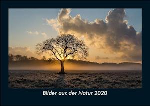 Fa Bilder Aus Der Natur Fotokalender Din A5 Af Tobias Becker Som Bog I Kalendere Format Pa Tysk