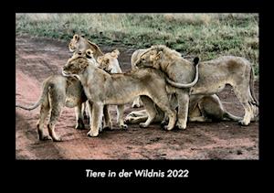 Tiere in der Wildnis 2022 Fotokalender DIN A3