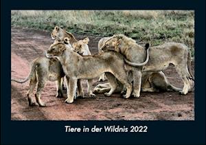 Tiere in der Wildnis 2022 Fotokalender DIN A4